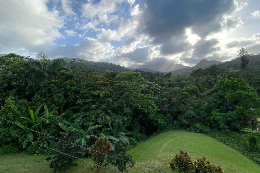 Rainforest Retreat 15 Min From The Beach Luquillo Zewnętrze zdjęcie