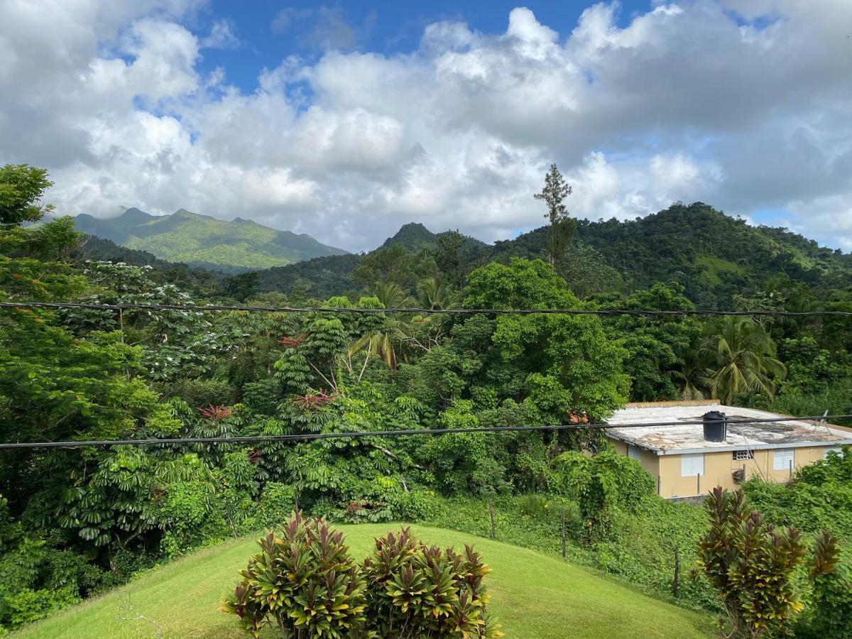 Rainforest Retreat 15 Min From The Beach Luquillo Zewnętrze zdjęcie