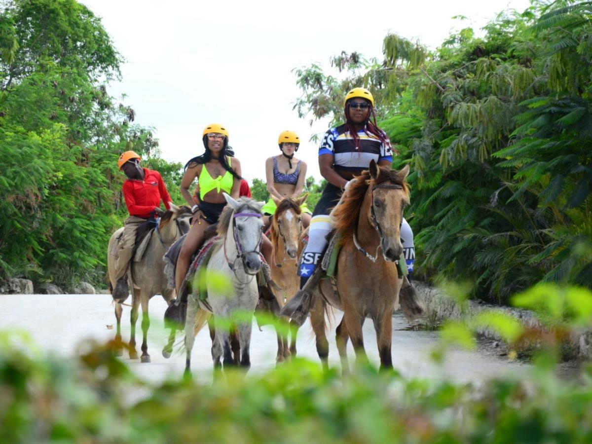 Rainforest Retreat 15 Min From The Beach Luquillo Zewnętrze zdjęcie