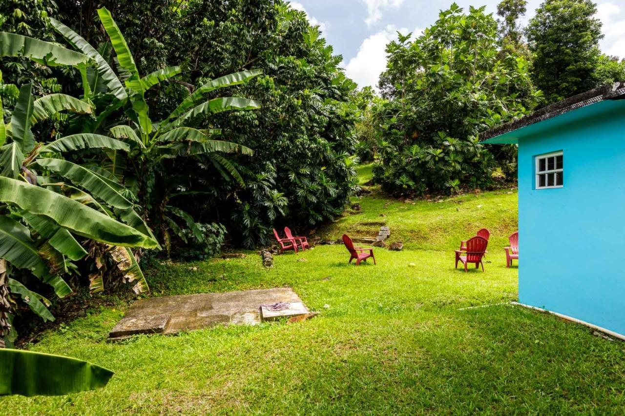 Rainforest Retreat 15 Min From The Beach Luquillo Zewnętrze zdjęcie